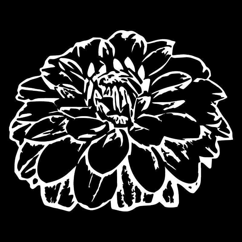 Fleur fleurs noires fleurs noires fleurs graphiques