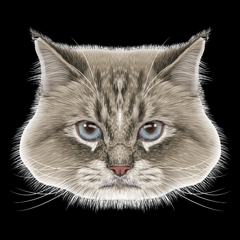 Siberian Cat