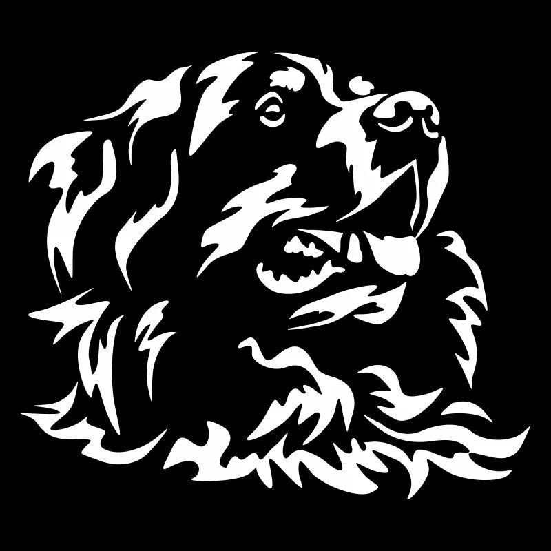 Tête de bouvier bernois « Black Edition »
