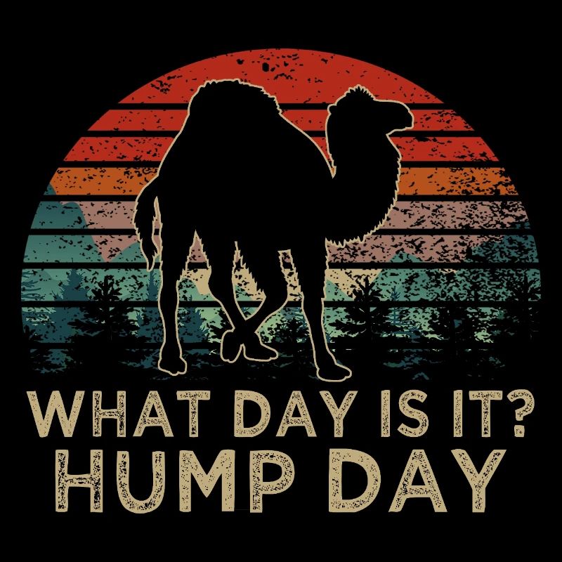 What Day Is It Hump Day Camel Retro Sunset