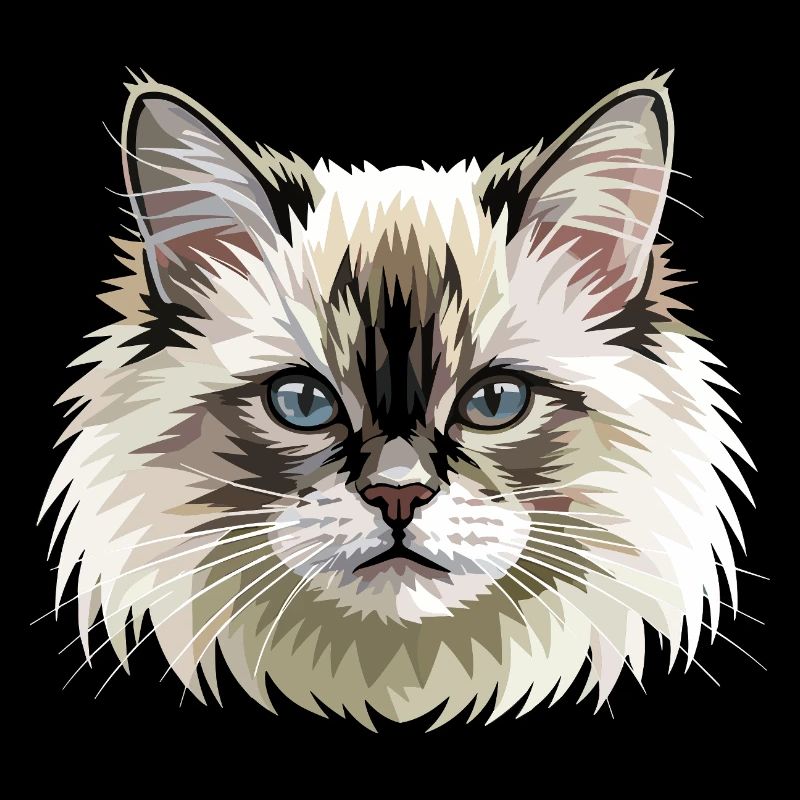 Chat Birman Chat Birman Sacré Chat Birman Mignons Chats Birman