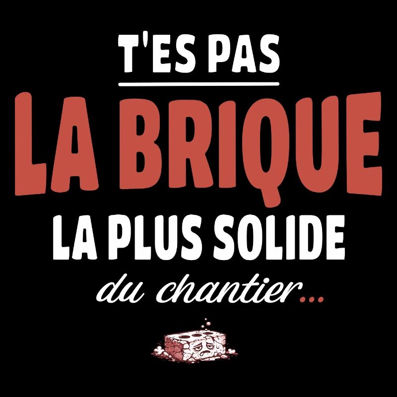 T’es pas la brique la plus solide du chantier