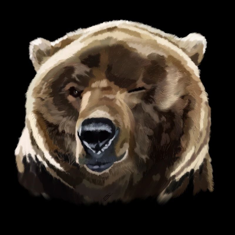 bear