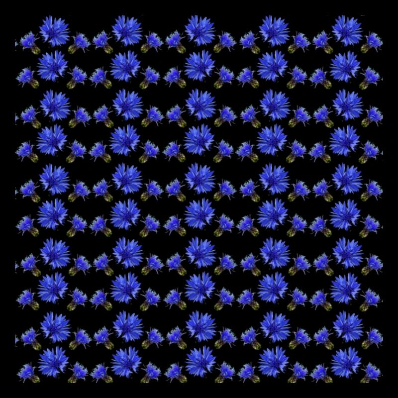 Cornflower Pattern, Gift Woman