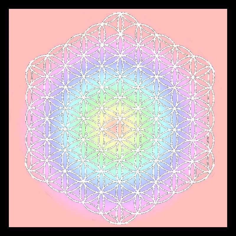Blume des Lebens weiß - 5. Dimension