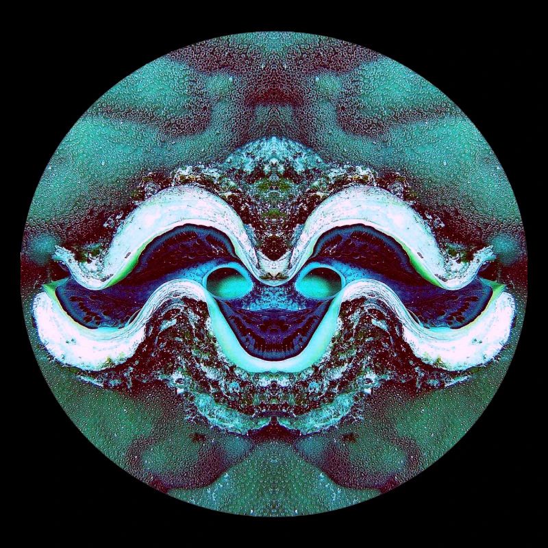 Nature Mandala Smiling Shell