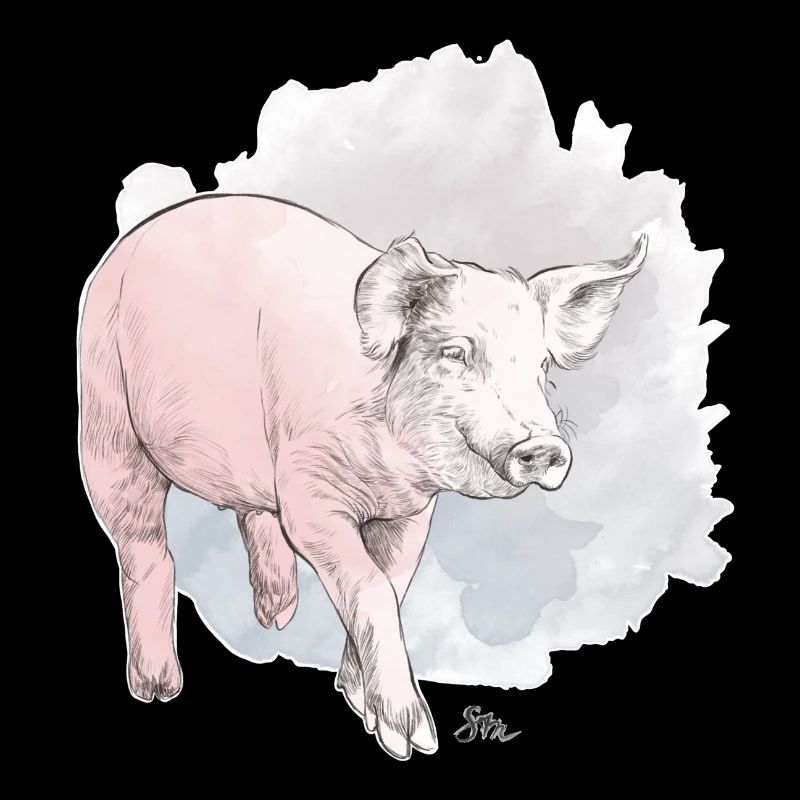 Cochon mignon devant une masse colorée