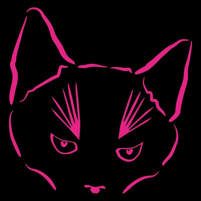 Le chat en point de mire