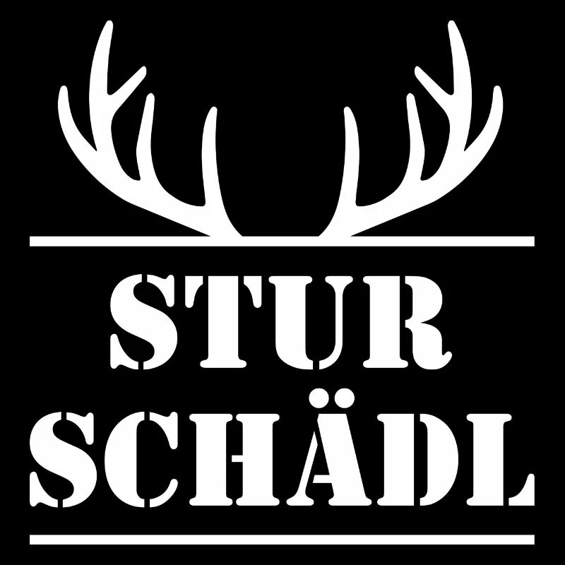 STURSCHÄDL