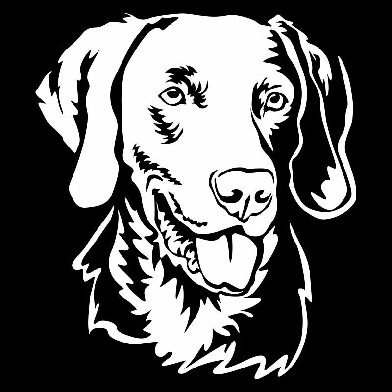 Weimaraner Kopf "Black Edition"
