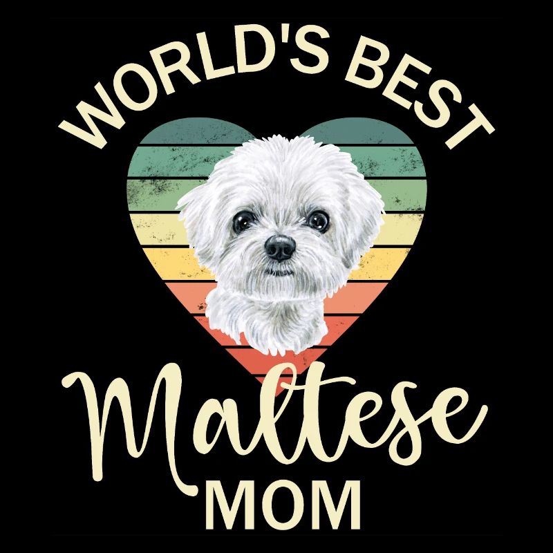 Chien maltais