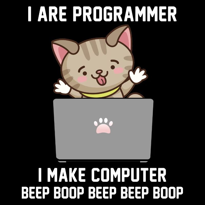 Programmeur