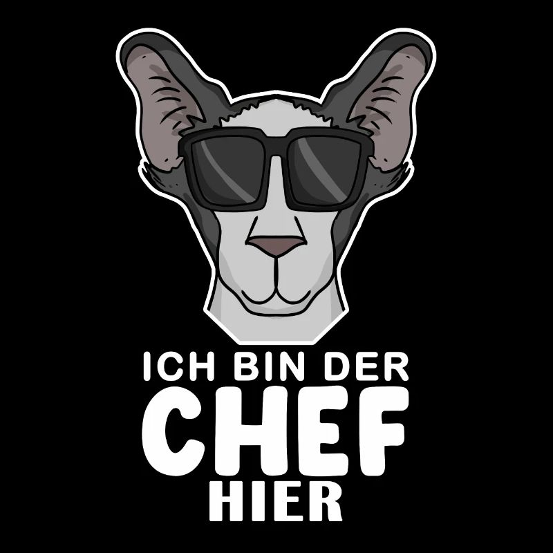 Chef Spruch Anführer Hund