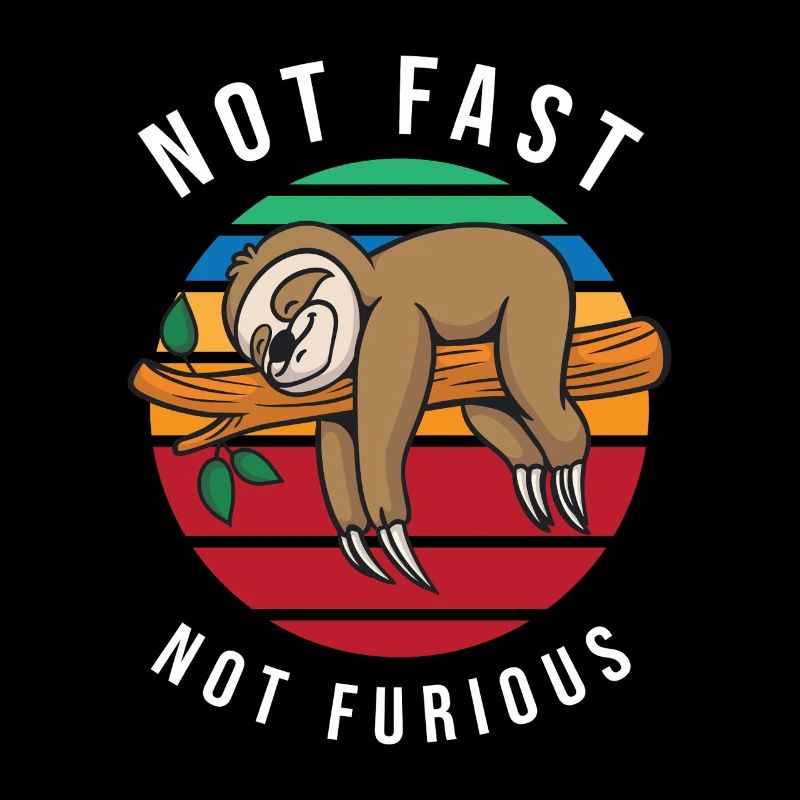 funny sloth not fast not furious