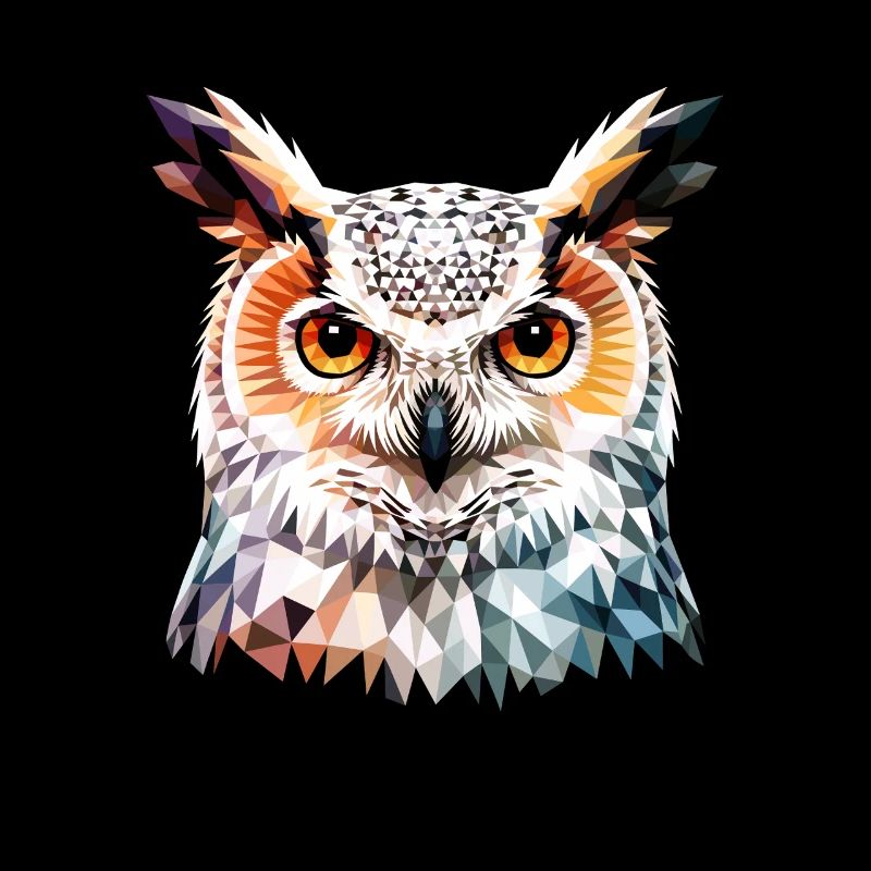 Schneeeule Weiße Eule Kauz Uhu Owl Schnee Eulen