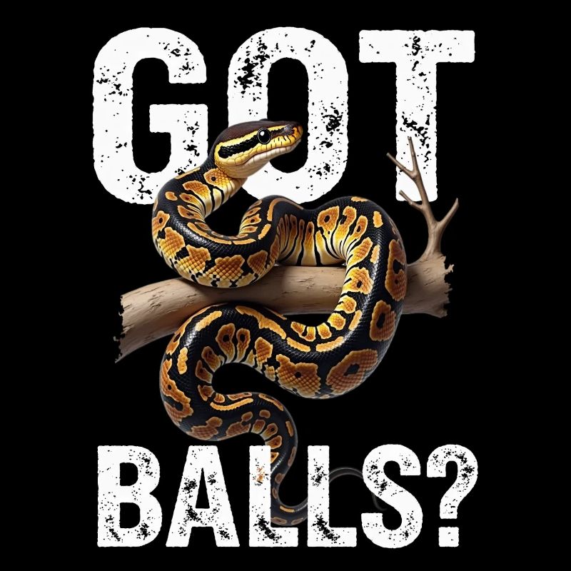 Python roi Serpents Amateurs de terrarium Python