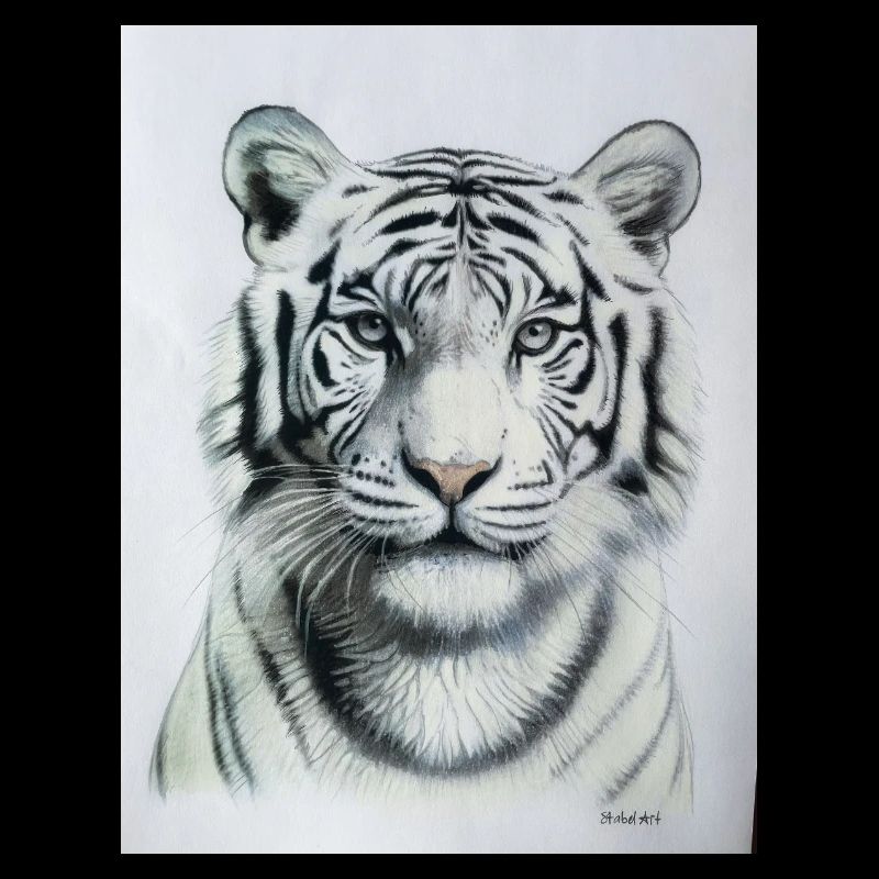 White Tiger - Weisser Tiger