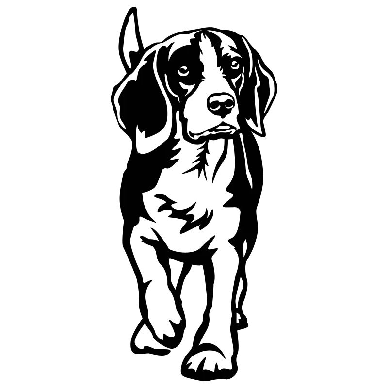 Beagle