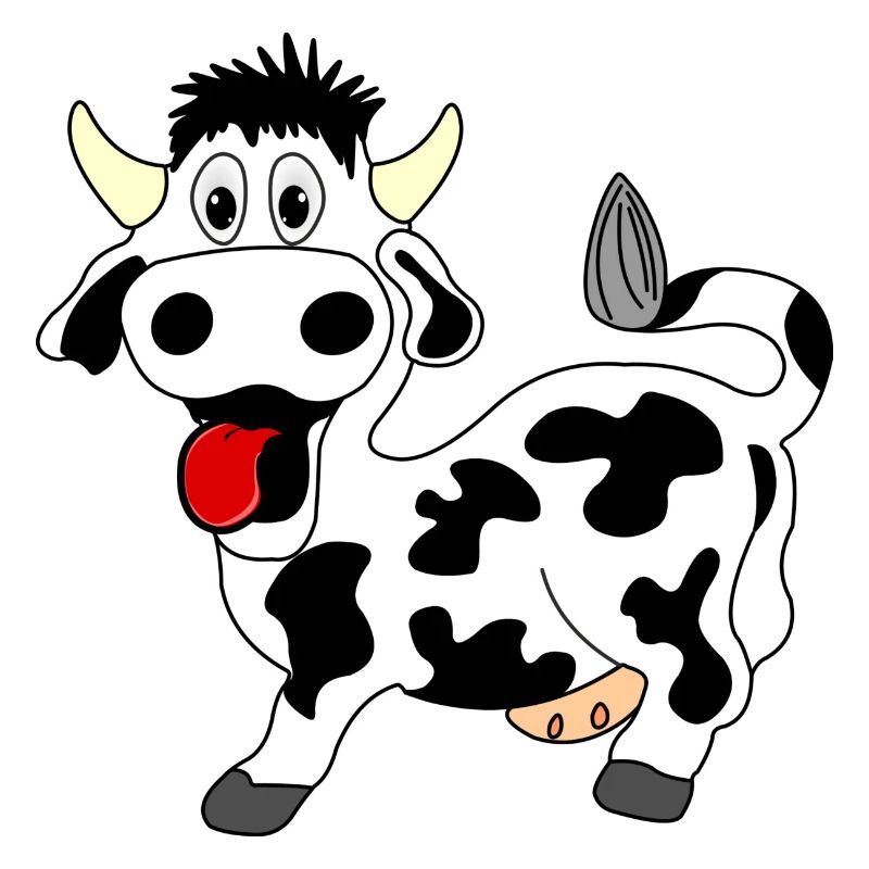 Vache noire et blanche joyeuse avec langue sortie de la bouche
