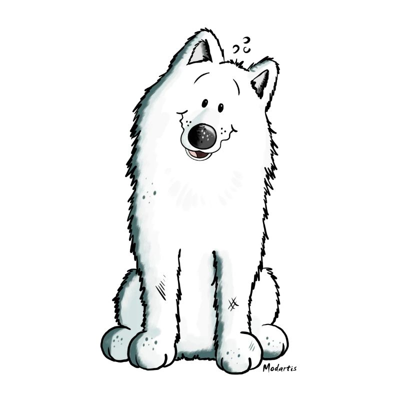 Cute Samoyed