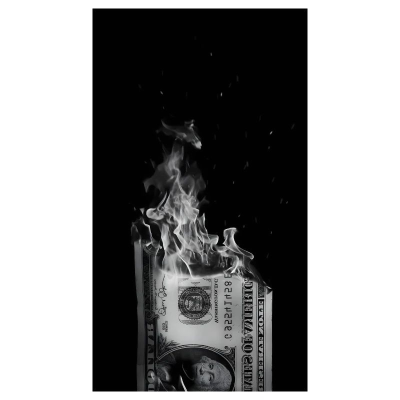 Dollerinthefire