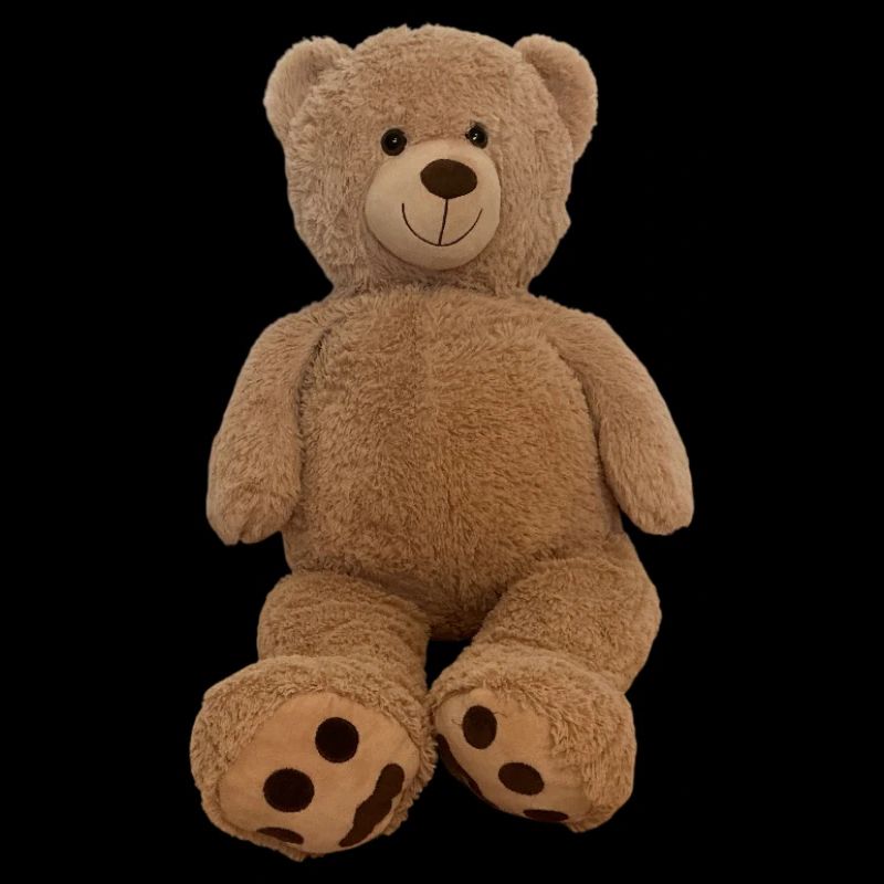 Brown Cuddly Teddy Plush