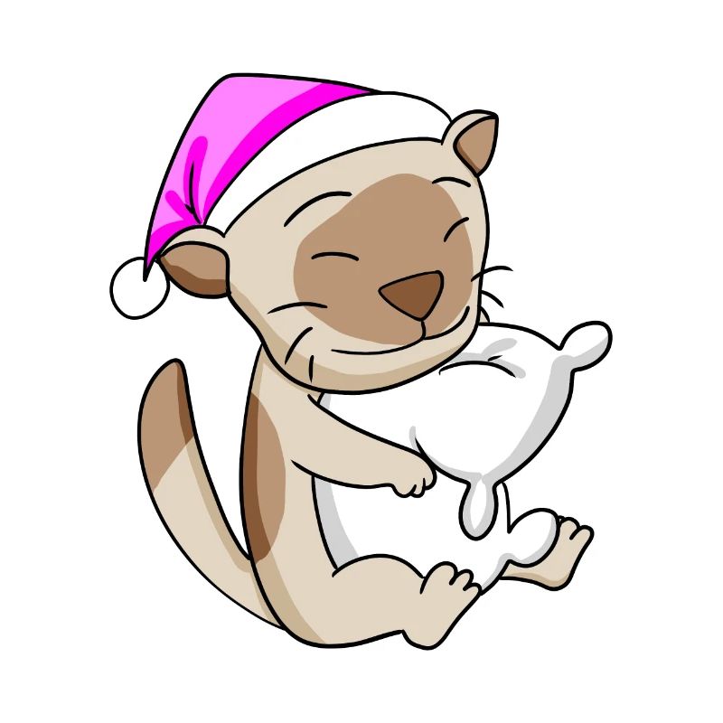Chat Cat Race Chat Birman