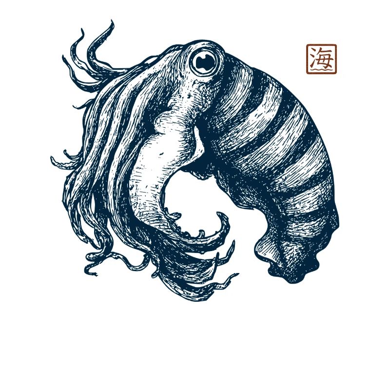 Cuttlefish