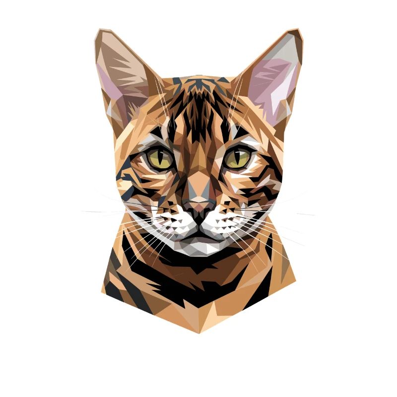 Chat léopard du Bengale, chat léopard, léopardette, chats du Bengale,