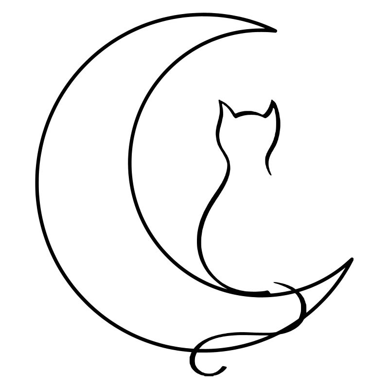 Chat de lune
