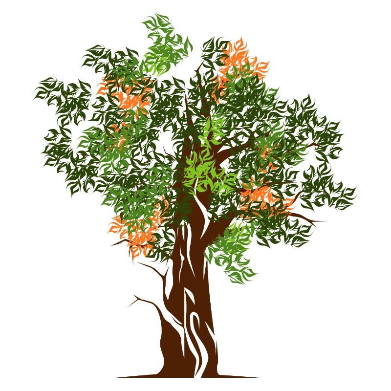 nature trees bäume baum wald colors Herbst spring