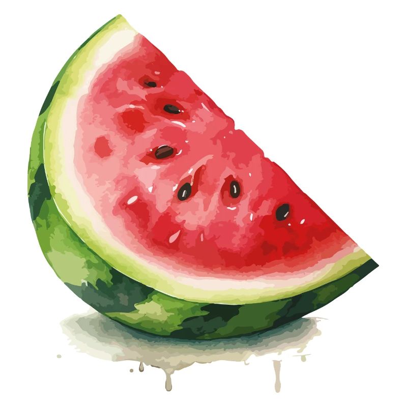Tranche de pastèque à l’aquarelle