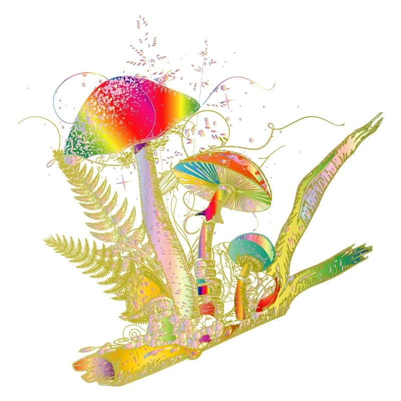 composition colorée champignons forestiers, herbes et branches