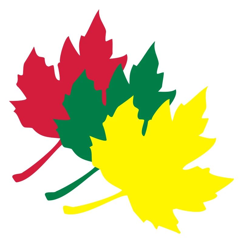 maple leaf