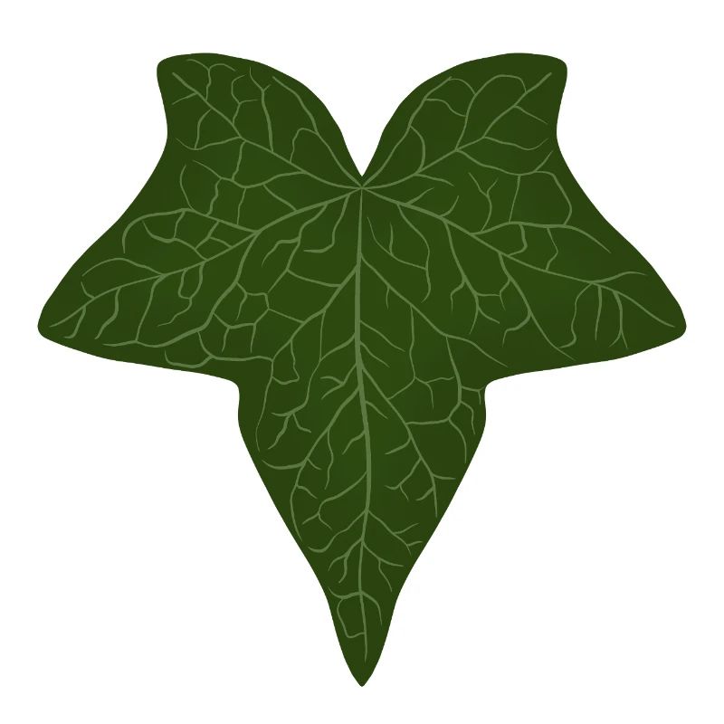 Elegant Green Ivy Leaf Pattern