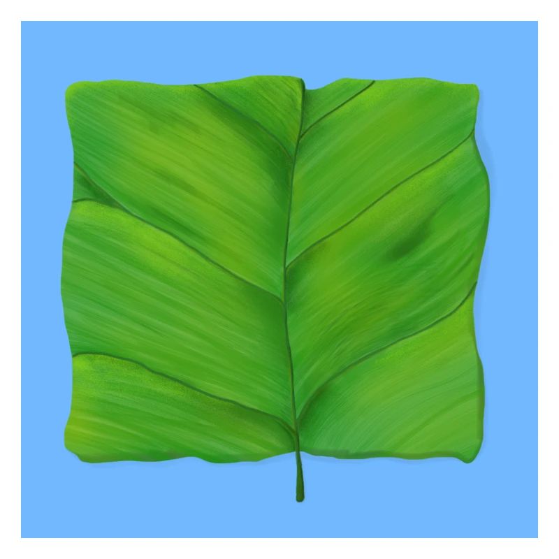 The Square Leaf