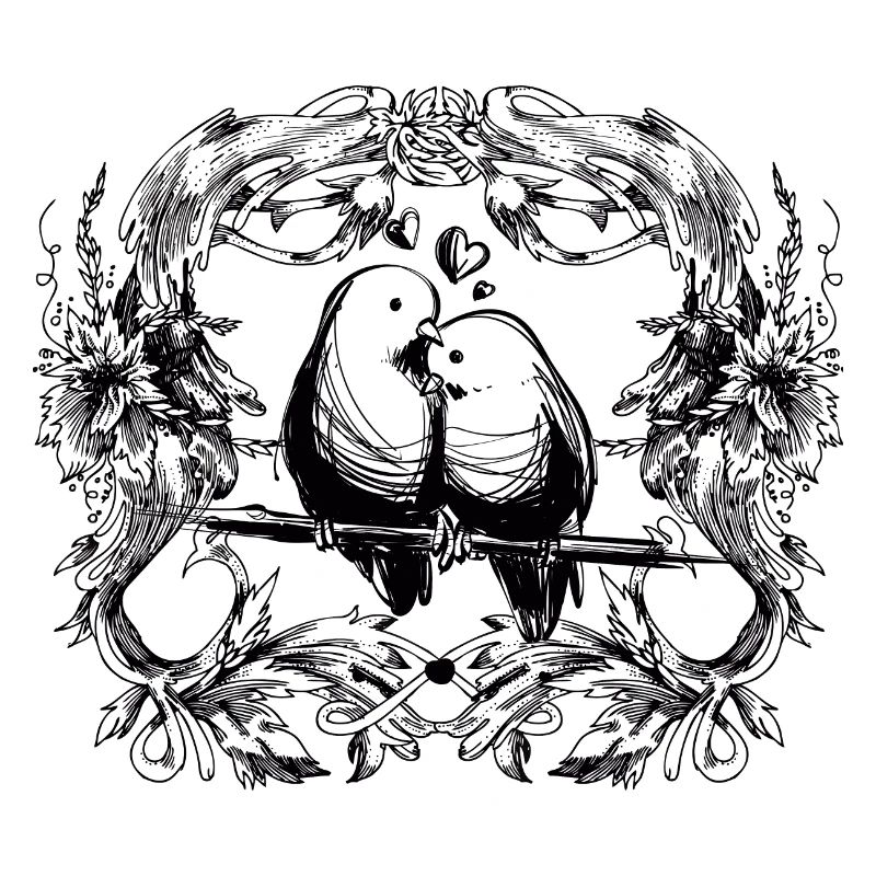 Inséparables / amour / relation / oiseaux / oiseau