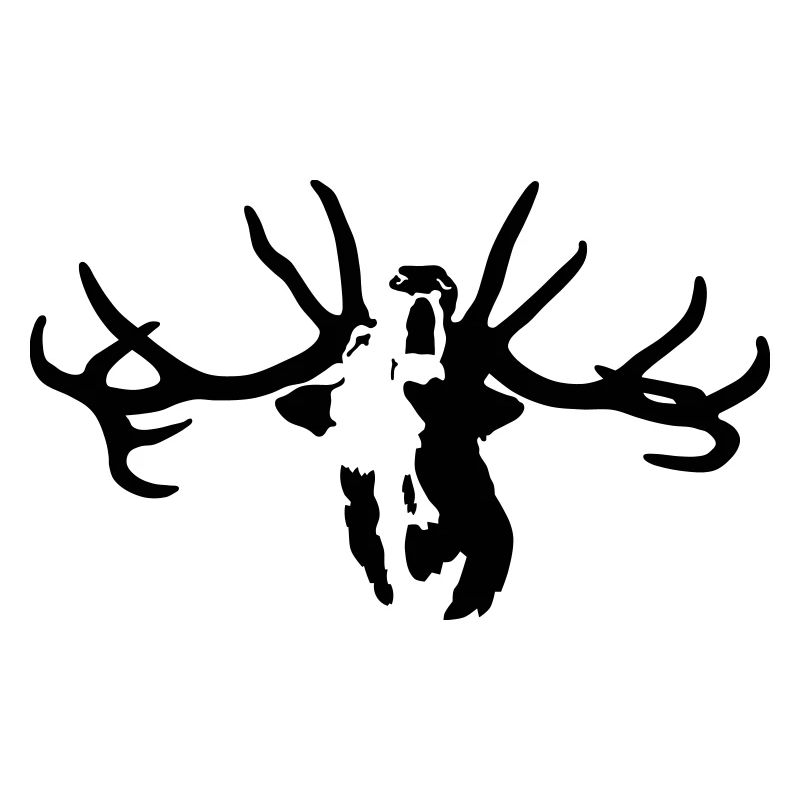 Hirsch
