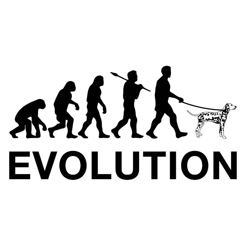 évolution