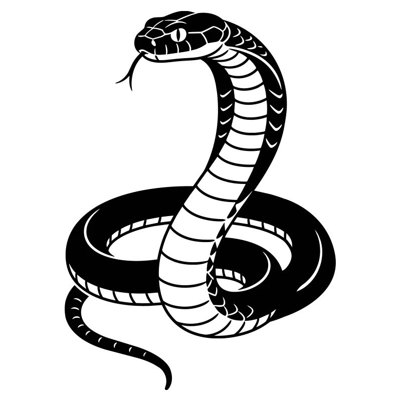 Cobra