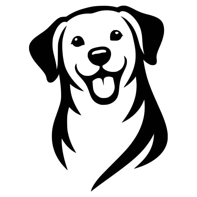 Chien