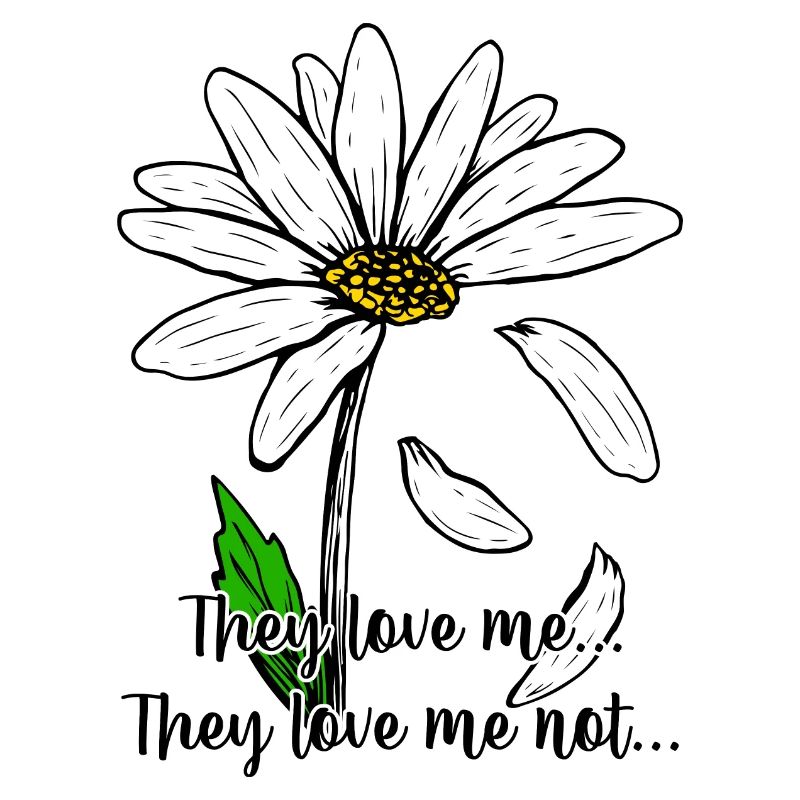 Daisy on Black: Bold White Petals