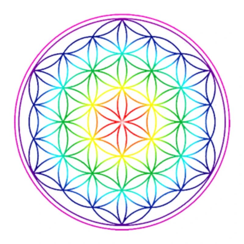 REGENBOGENBLUME DES LEBENS