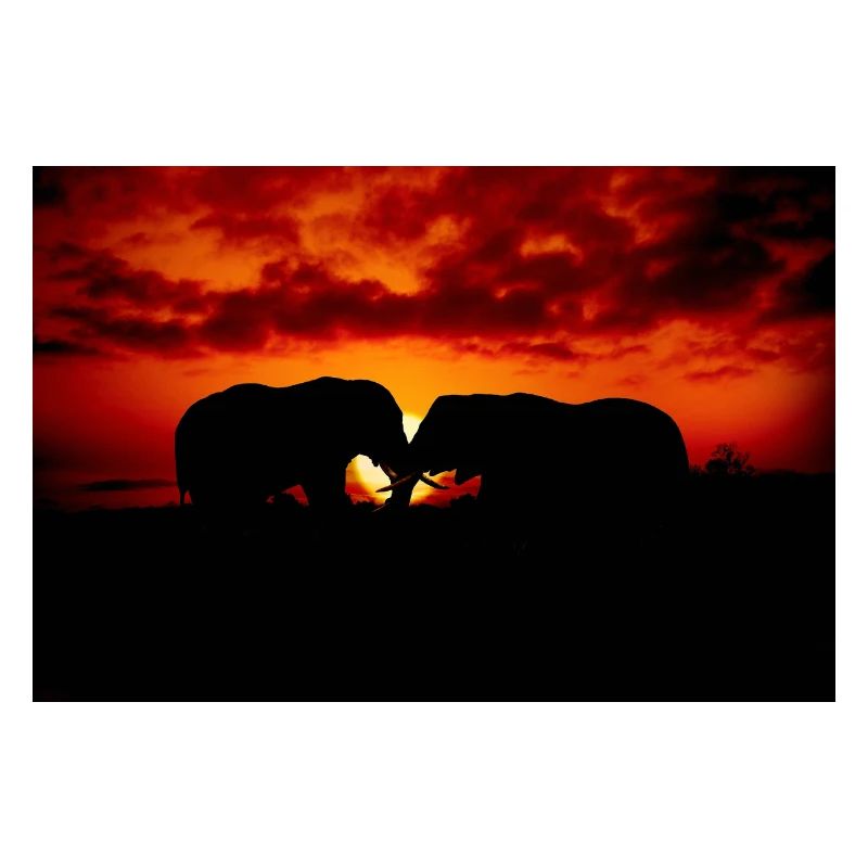 Silhouetted Elephants at Sunset