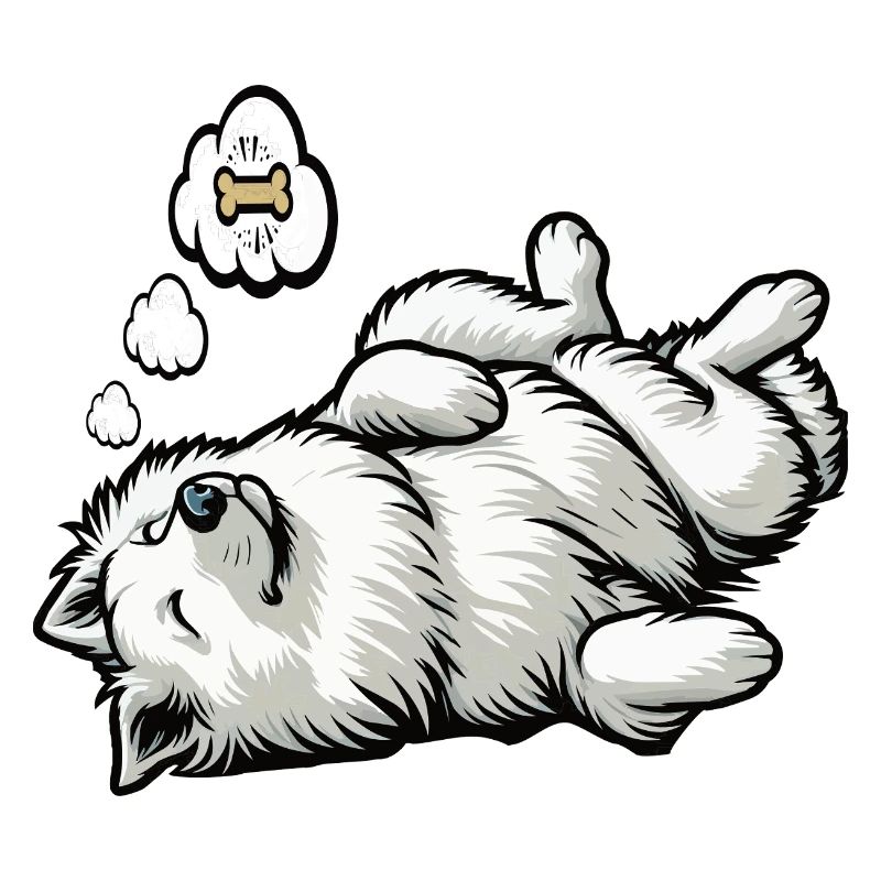 White Shepherd Shepherd Shepherd Dogs