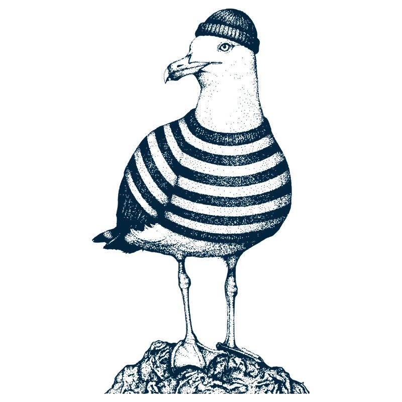 Mouette avec pull