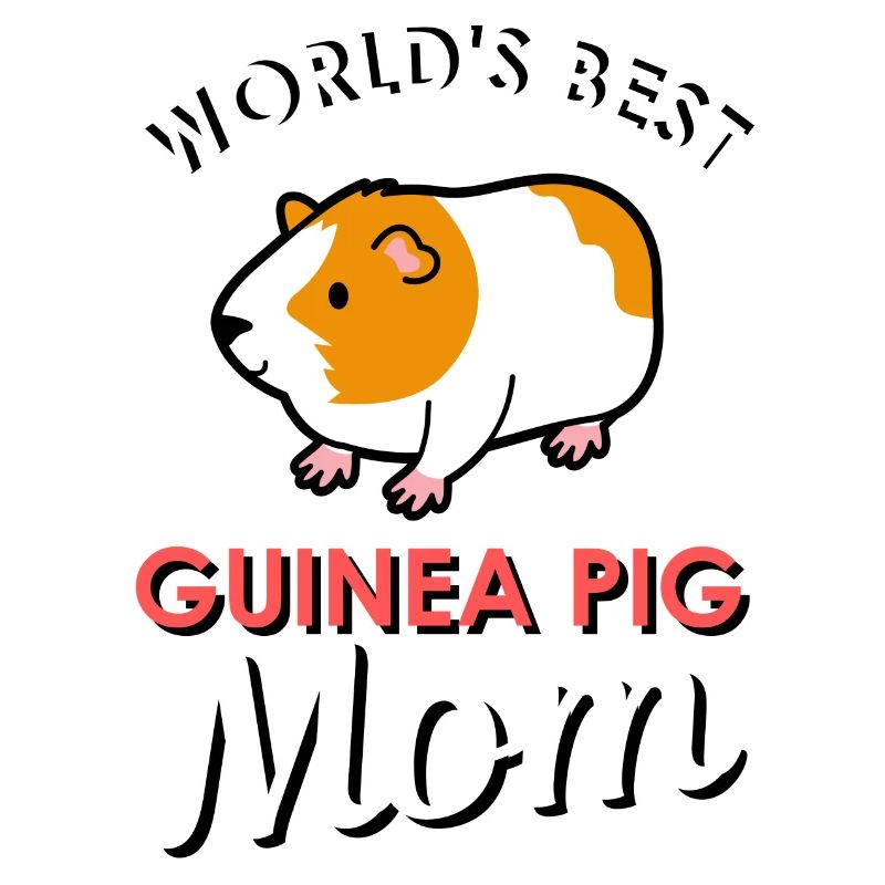 guinea pig