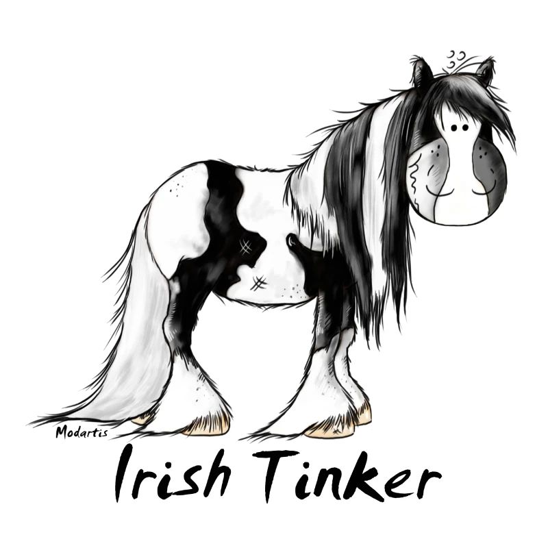 Pfiffiger Irish Tinker - Gypsy Cob