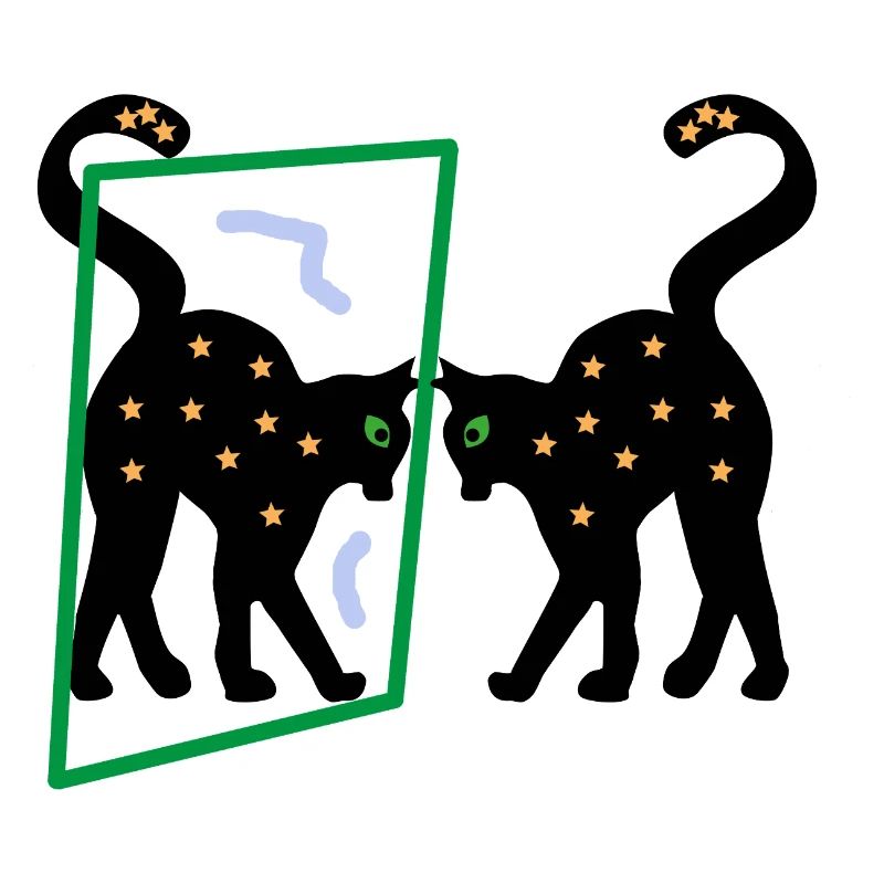 Mirror the Kitten, Abstraction