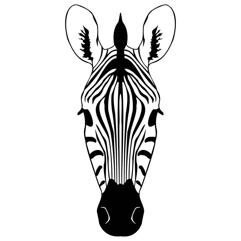 Zebra Illustration